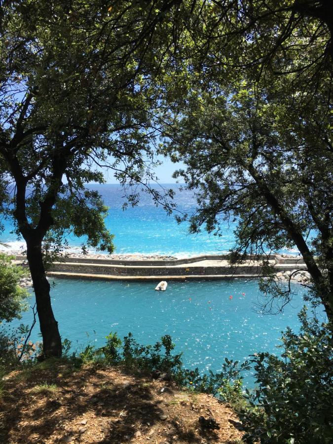 Casetta Del Marinaio Camogli Dış mekan fotoğraf