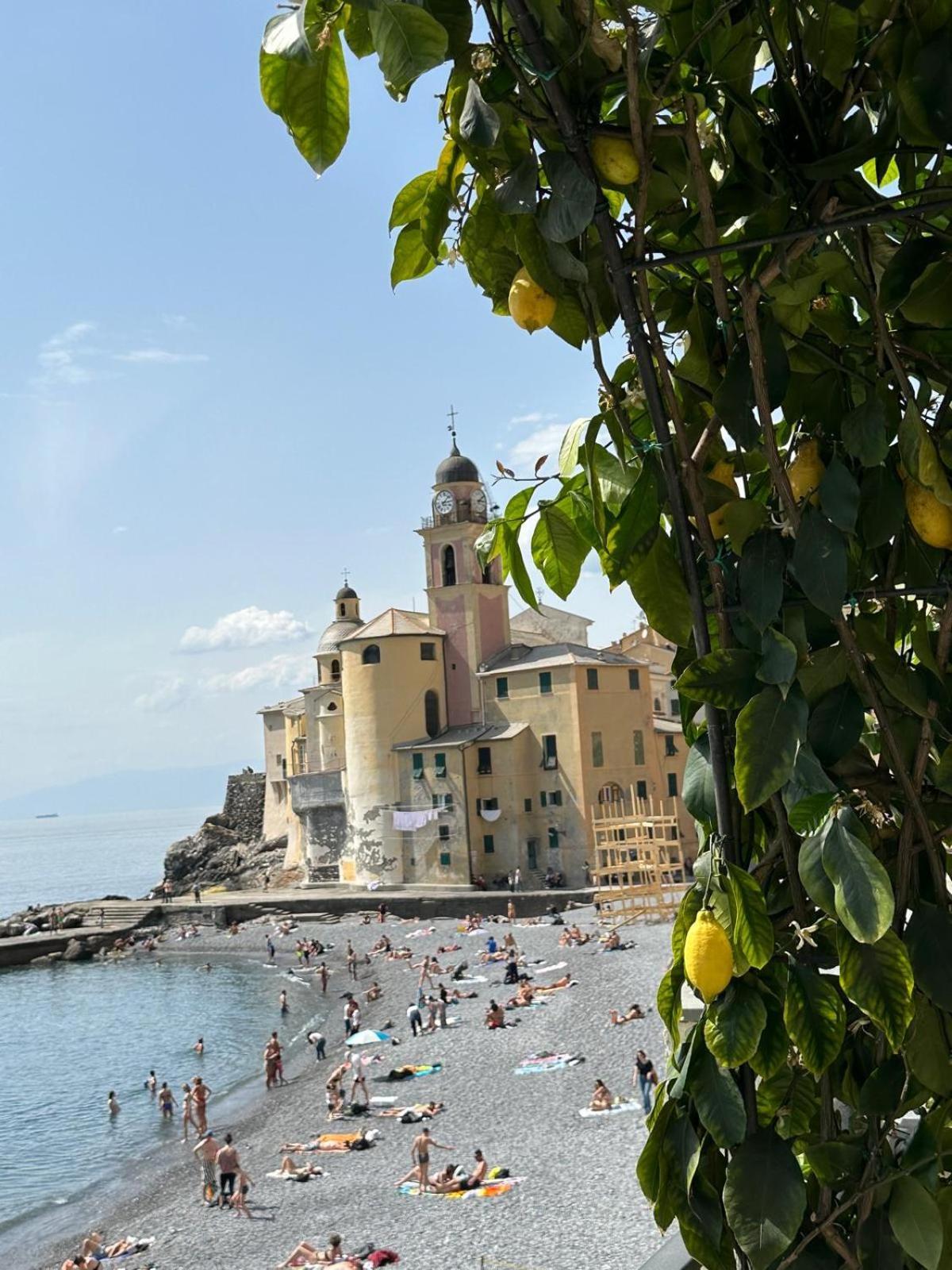 Casetta Del Marinaio Camogli Dış mekan fotoğraf