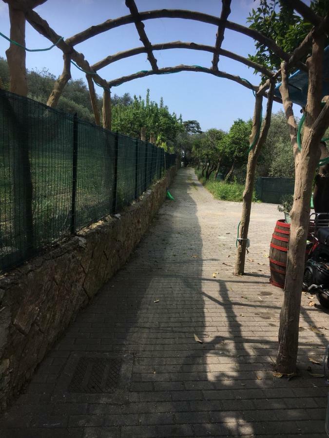 Casetta Del Marinaio Camogli Dış mekan fotoğraf