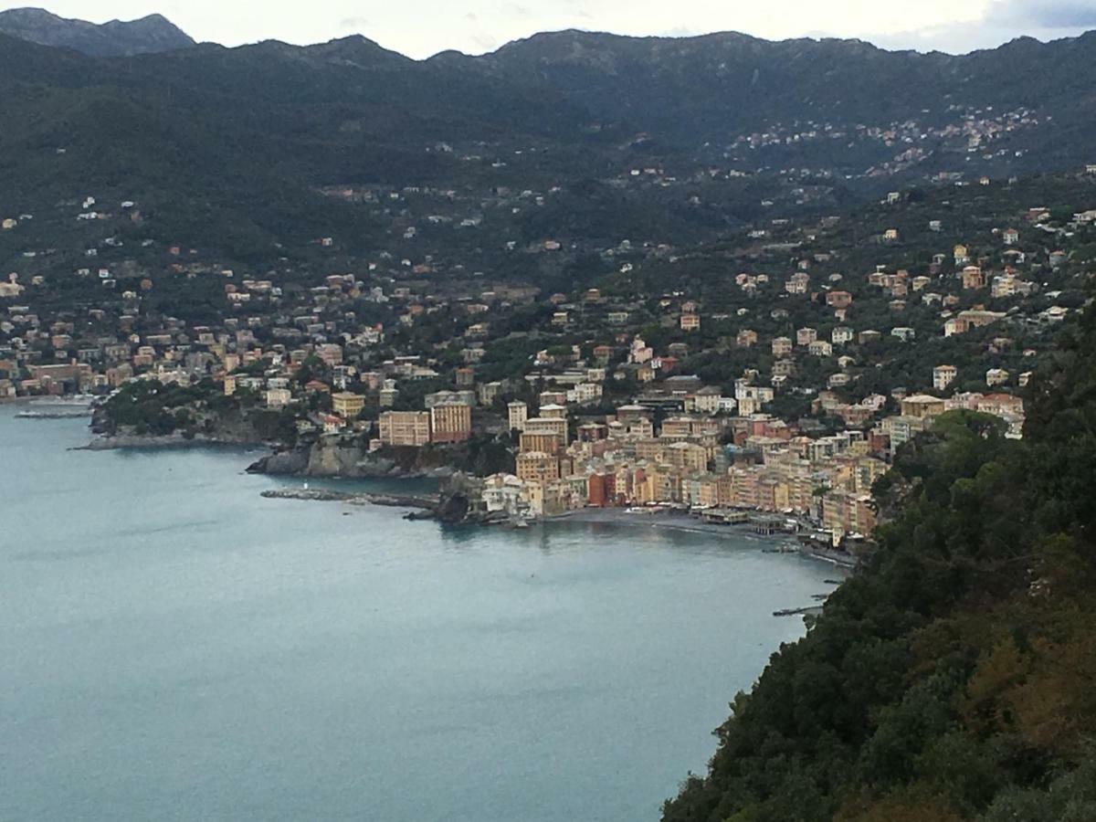 Casetta Del Marinaio Camogli Dış mekan fotoğraf